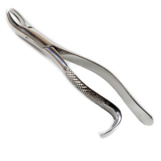 Extraction Forceps #18L