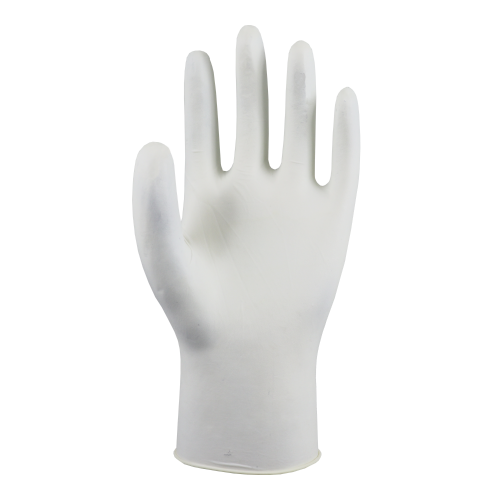 Lynn River LIGHTLY POWDERED LATEX GLOVES LARGE - carton